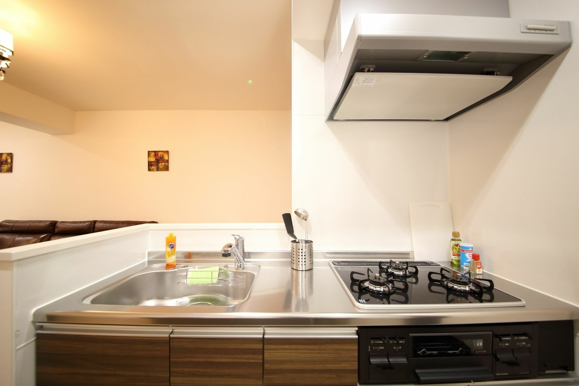 Alex's Shinsaibashi Apartamento *